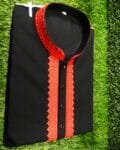 Embroidery Panjabi